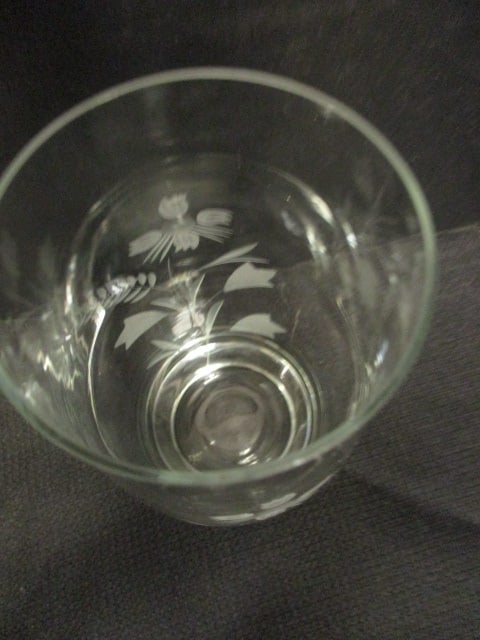 Vintage Set of 5 Etched Glasses - 4