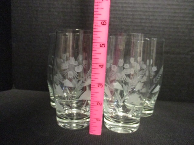 Vintage Set of 5 Etched Glasses - 5