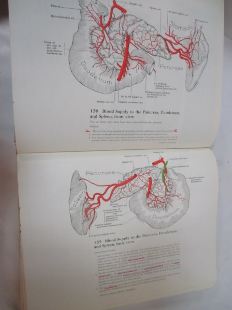 Vintage "Grant's Atlas of Anatomy" and "Mortal Lessons" Notes on the Art of - 9