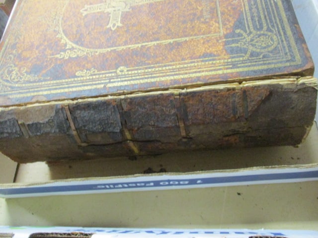 Antique "The Holy Catholic Bible" Large Book - 3