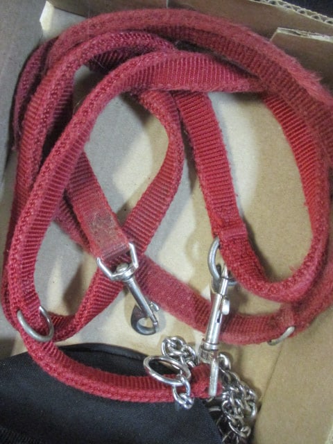 Pet Lot - Flexi Comfort Long Extendible Leash, Chain Choker Collar, Canvass - 3