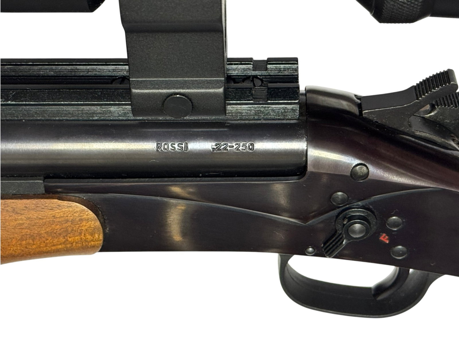 Excellent Rossi Wizard .22-250 REM. Single-Shot Rifle with Burris Scope - 12