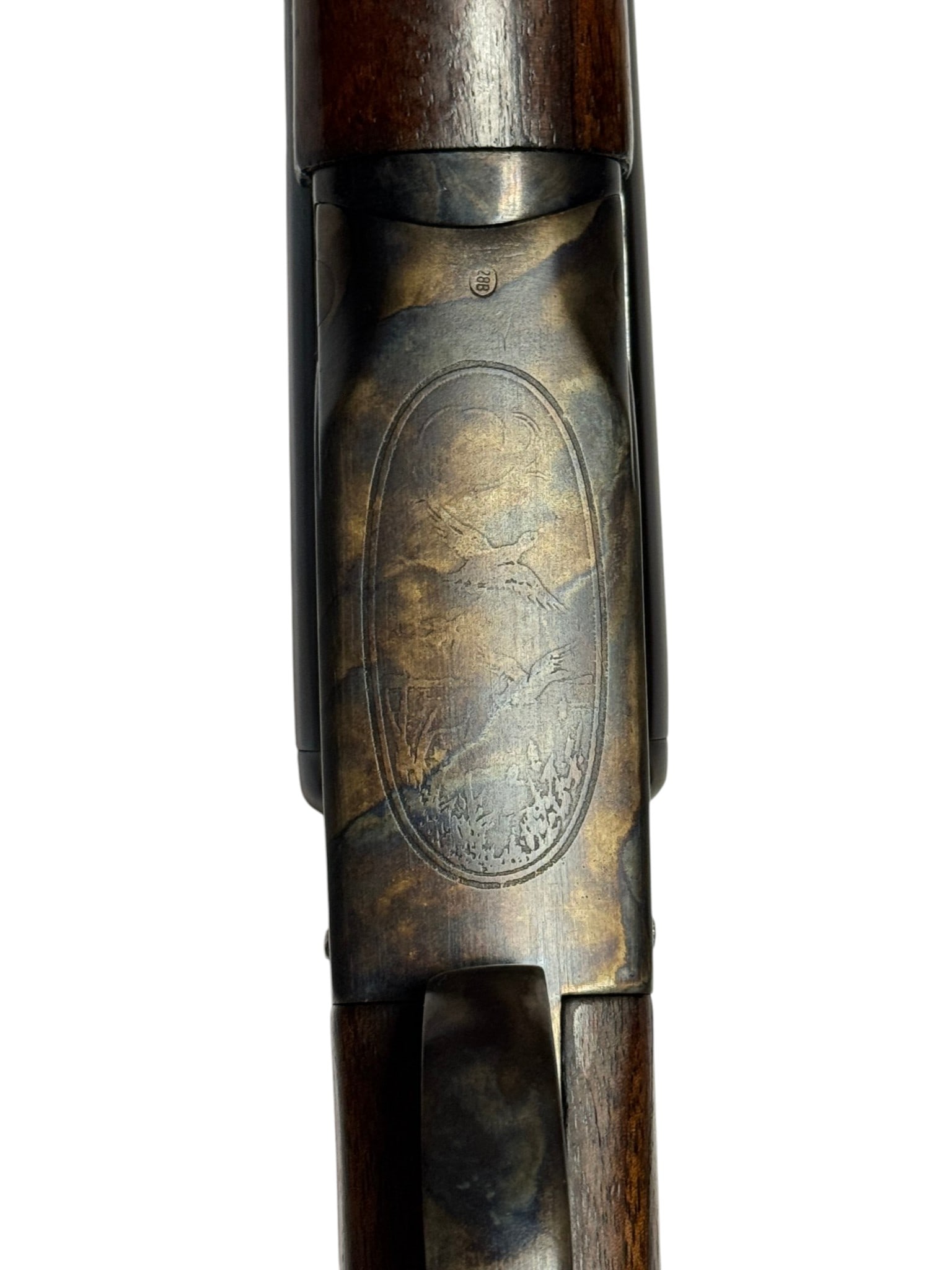 Excellent 1950 Fox/Savage Model B 20 GA. SXS Double Barrel Shotgun - 13