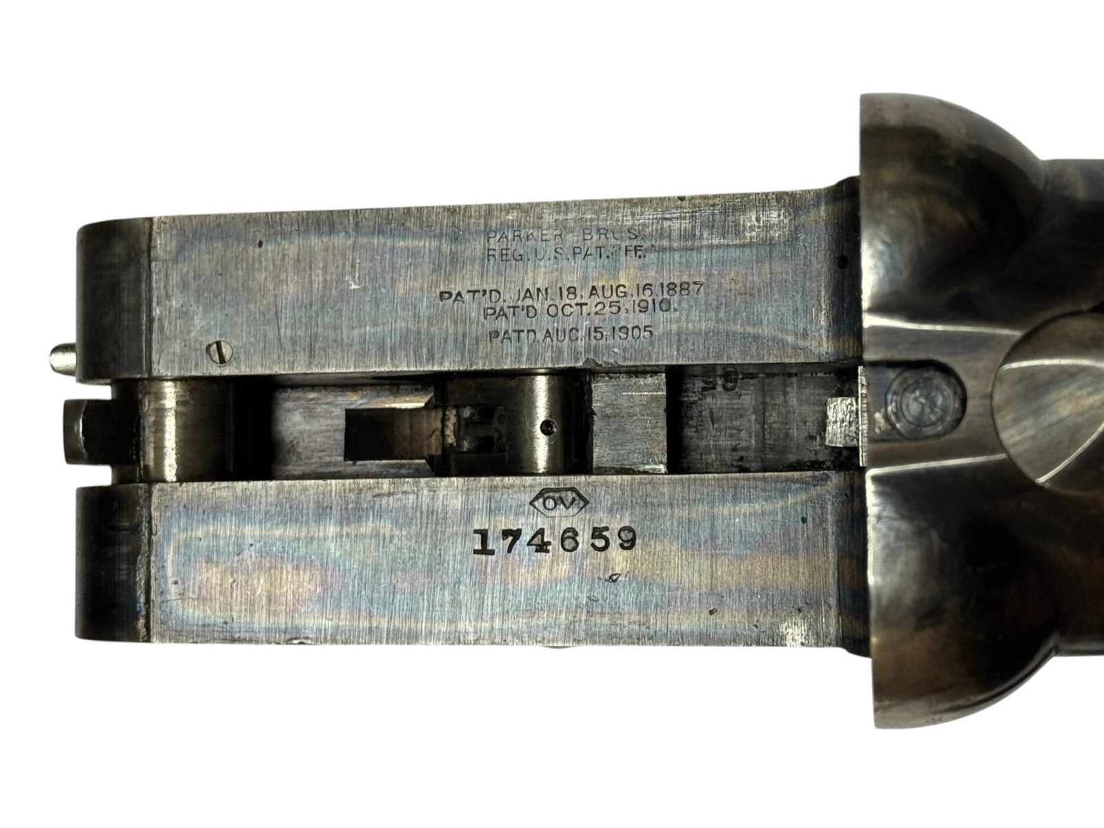 Excellent 1916 Parker Bros. Trojan Grade 16 GA. Hammerless SXS Double Barrel Shotgun - 4