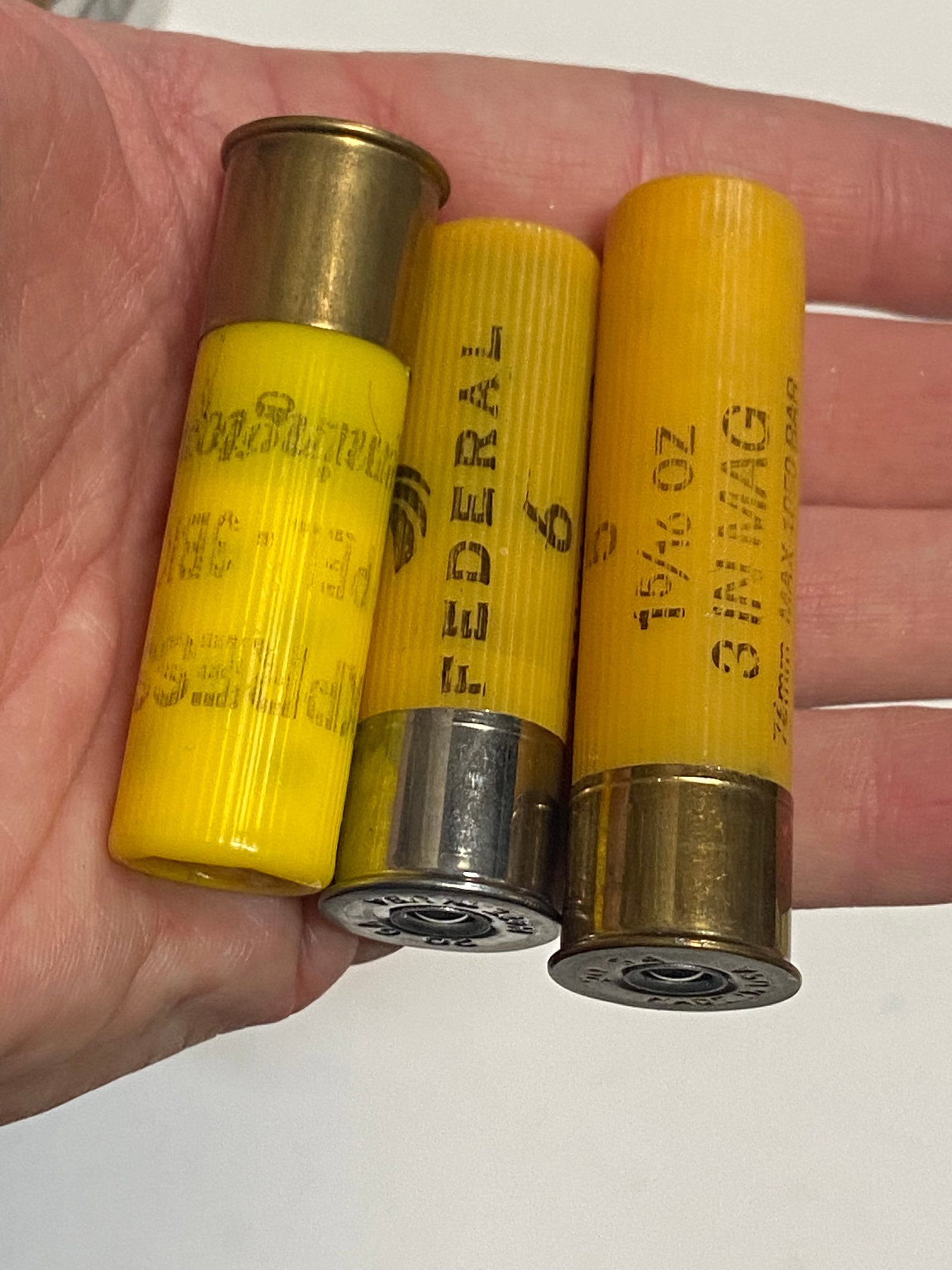 (5) 20 GA. And (13) 12 GA. Shotgun Shells - 2