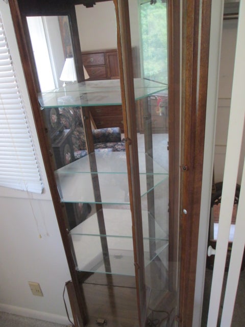 Traditional Wood Illuminated Curio Cabinet with Mirrored Back and Glass Shelves - 4