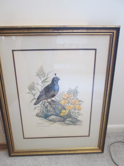 Anne Worsham Richardson Pencil Signed Limited Edition "California Quail with Golden Poppy" Print: Limited Edition No. 96/3000, Framed and matted 25" x 31 1/4", artist bio on back, Local Pickup Suggested