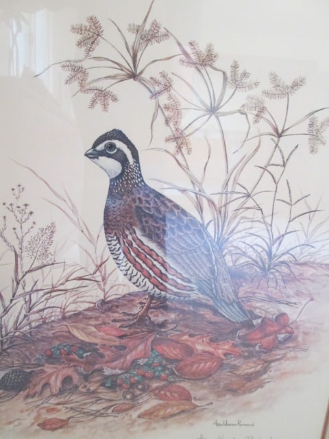 Anne Worsham Richardson Pencil Signed Limited Edition "Bobwhite" Print - 2