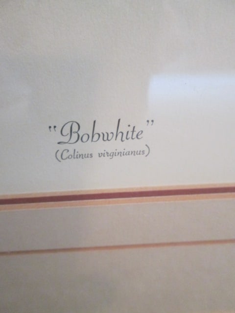 Anne Worsham Richardson Pencil Signed Limited Edition "Bobwhite" Print - 4