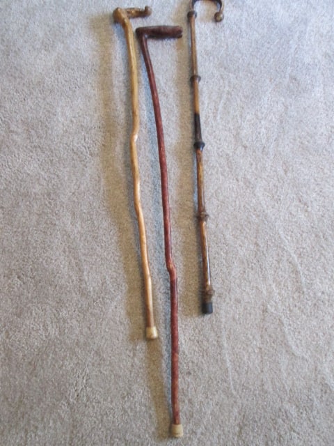 Two Live Edge and One Bamboo Canes (1 of 4)