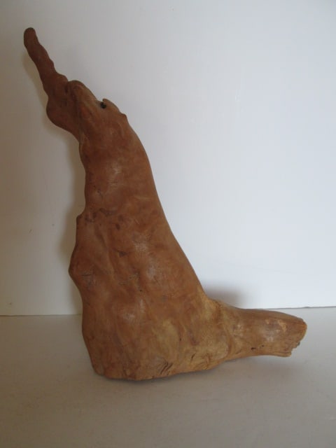 Vintage Cypress Knee: 14"