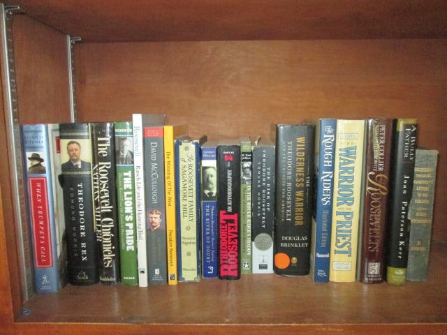 Large Grouping of Theodore Roosevelt Biographies: See pictures and preview for titles, Bring Boxes, Local Pickup Only