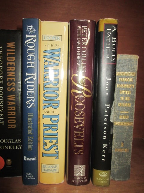 Large Grouping of Theodore Roosevelt Biographies - 2