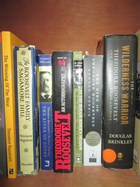 Large Grouping of Theodore Roosevelt Biographies - 3