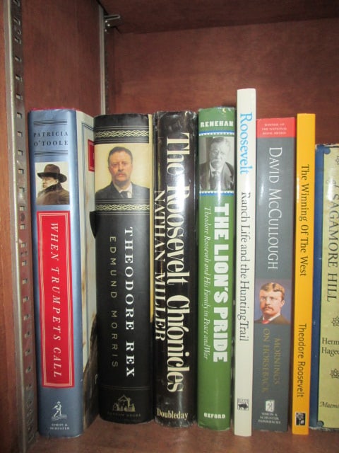 Large Grouping of Theodore Roosevelt Biographies - 4