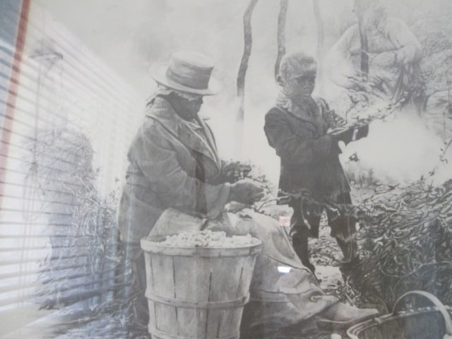 Jerry Sumner Pencil Signed Limited Edition Rural Harvest Print - 2