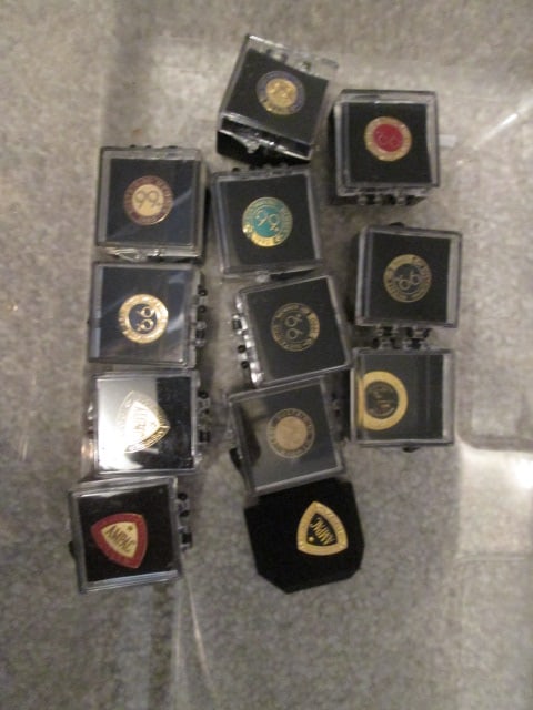 The American Board of Neurological Surgery Membership Lapel Pins: .