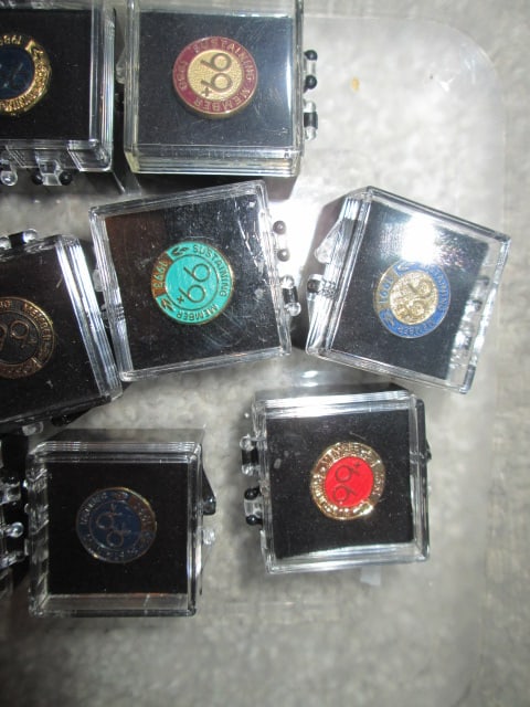 The American Board of Neurological Surgery Membership Lapel Pins - 2