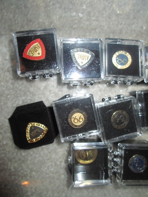 The American Board of Neurological Surgery Membership Lapel Pins - 3