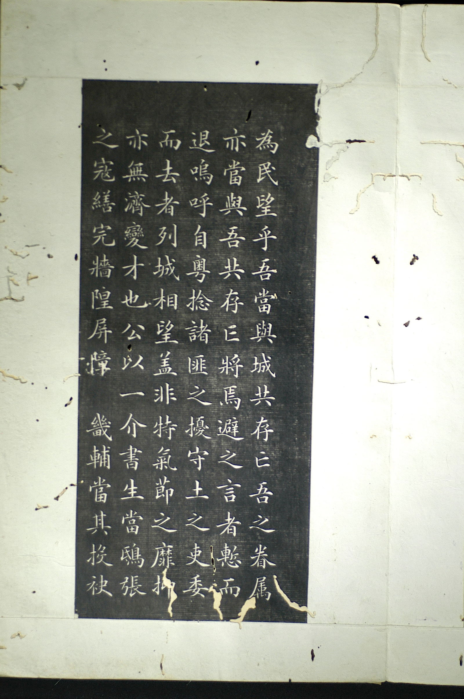 Feng Wenwei Small Regular Script Epitaph Rubbing - 7