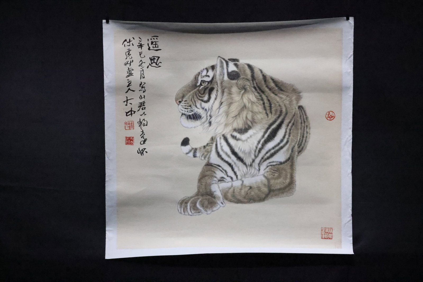 Square Painting, Remote Contemplation: A Gongbi Painting of a Reclining Tiger, Bearing the Signature (1 of 11)