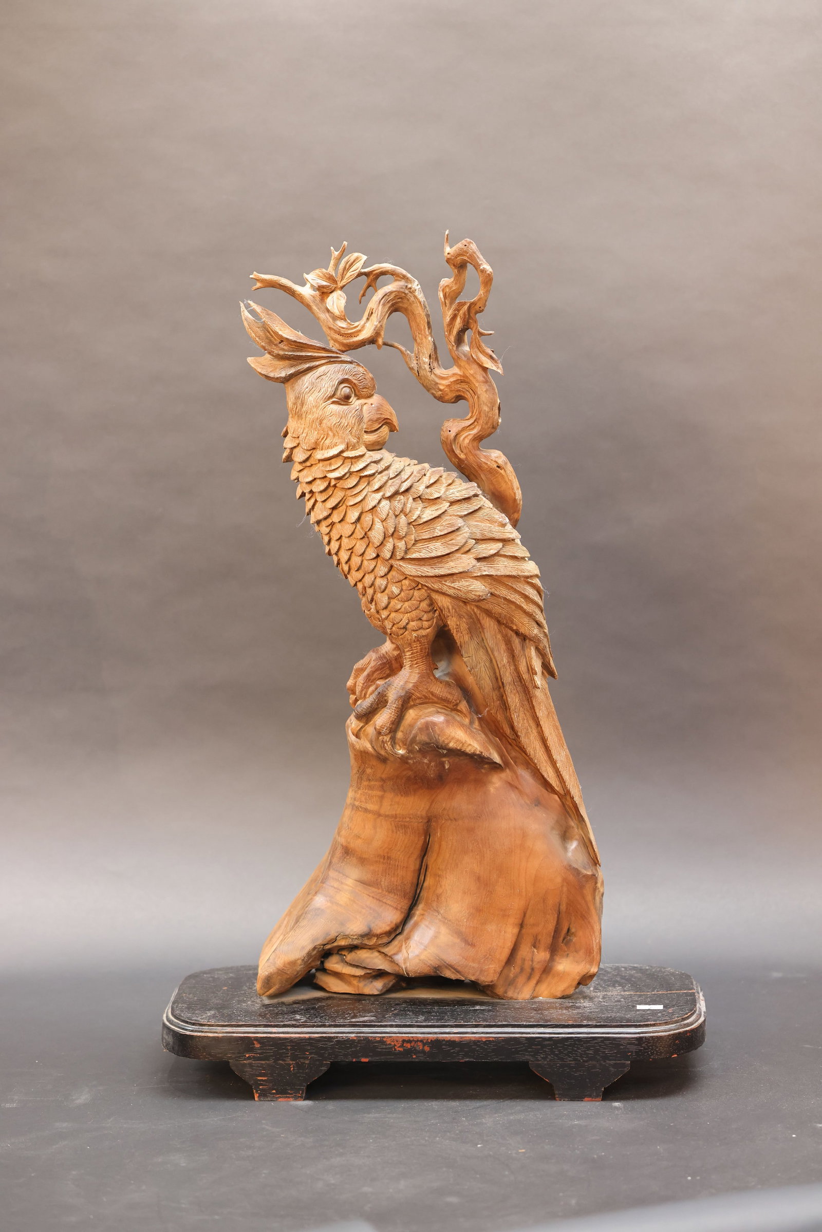 Root Wood Carving of a Parrot ("Yingwu") — Decorative Sculpture: Overall structure intact; minor natural hairline cracks in the wood; slight wear to some edges and corners; some paint loss to the base; no significant losses. H 70cm W 43cm