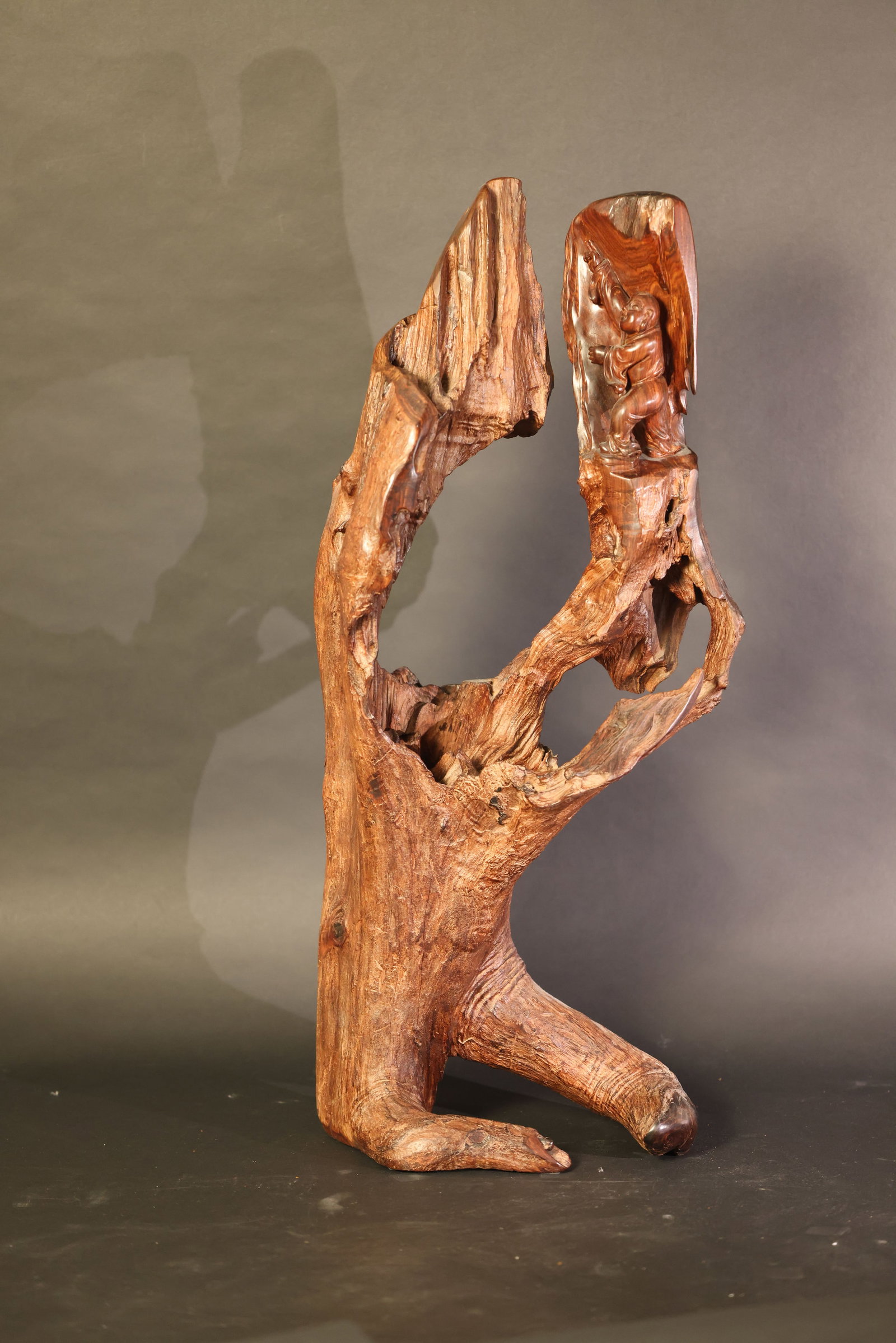 Chinese Root-Carved Boy Figure, Natural-Form Root Sculpture: Overall structurally sound. The wood shows natural weathering and age cracks, with some old knocks and losses to the edges and corners. No later restoration or rejoining. H 76cm W 32cm