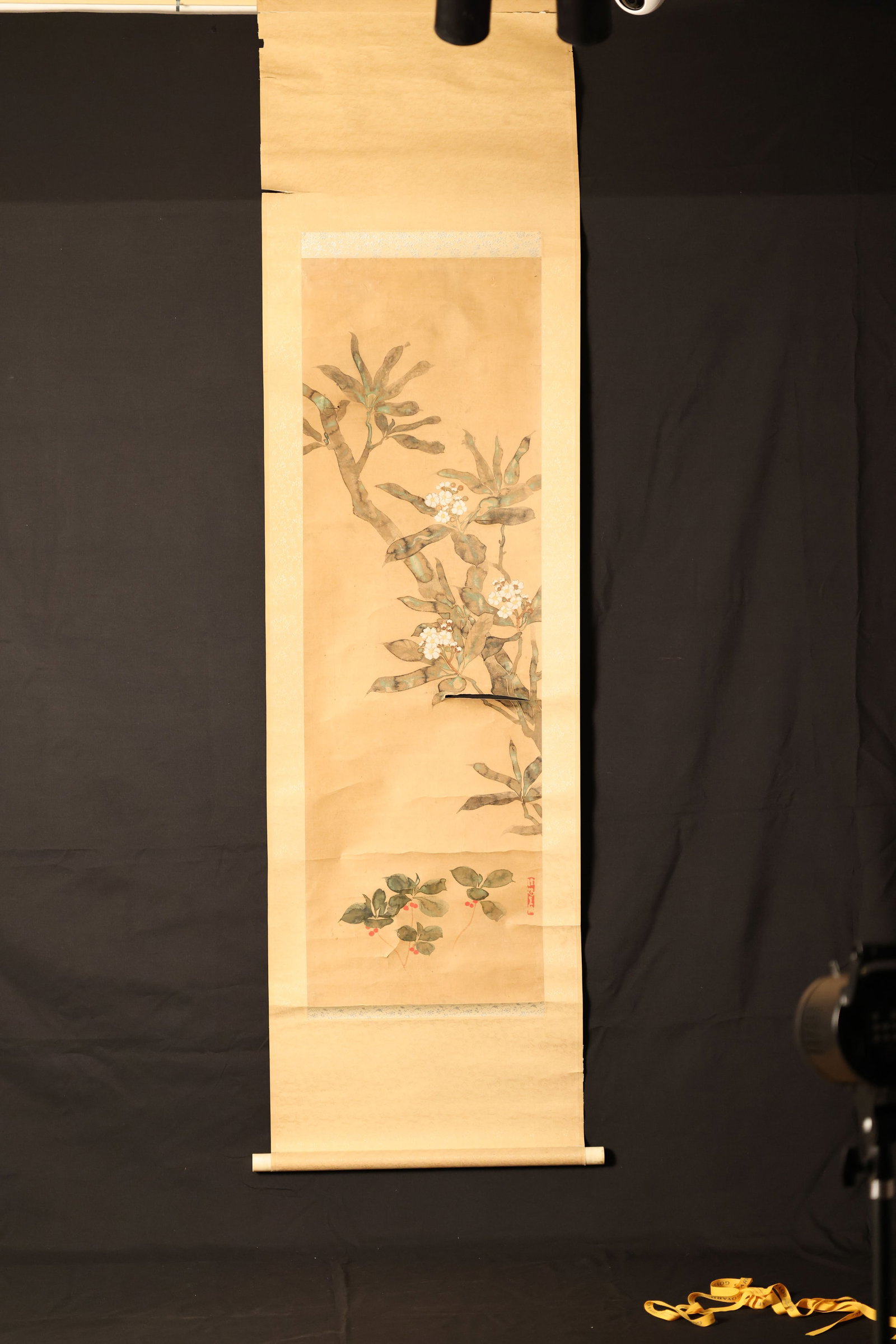 Color on paper hanging scroll: Floral study (Shanfan flower — botanical ID uncertain): Ink and color on paper, mounted in original Japanese style with bone roller ends. No lengthy inscription; bears a small vertical red seal. Influenced by Chinese Ming and Qing bird-and-flower painting.