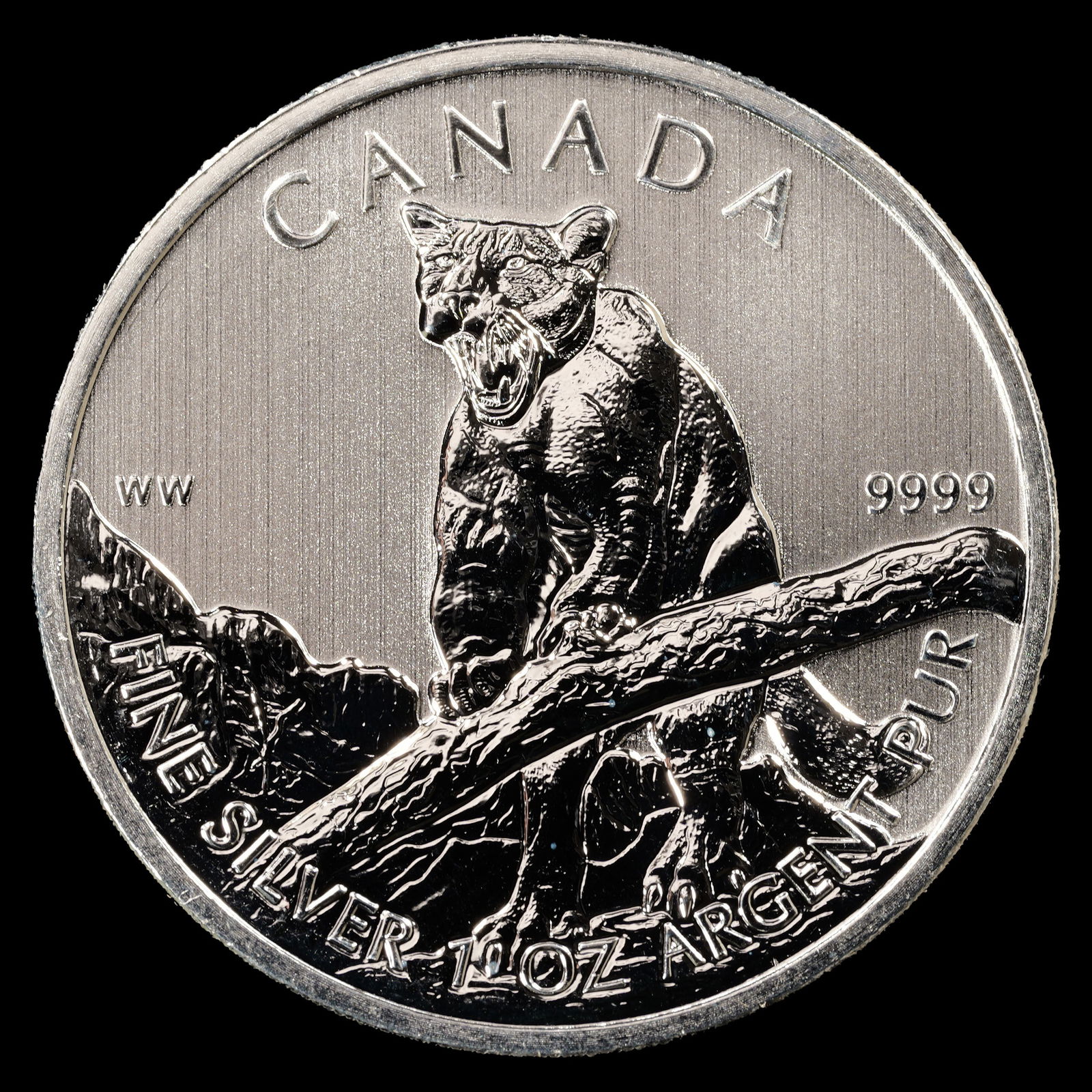 *1 oz ASW* 2012 Canada $5 Silver Cougar - 1 oz Fine Silver Coin (1 of 2)