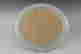 item-57228718=2