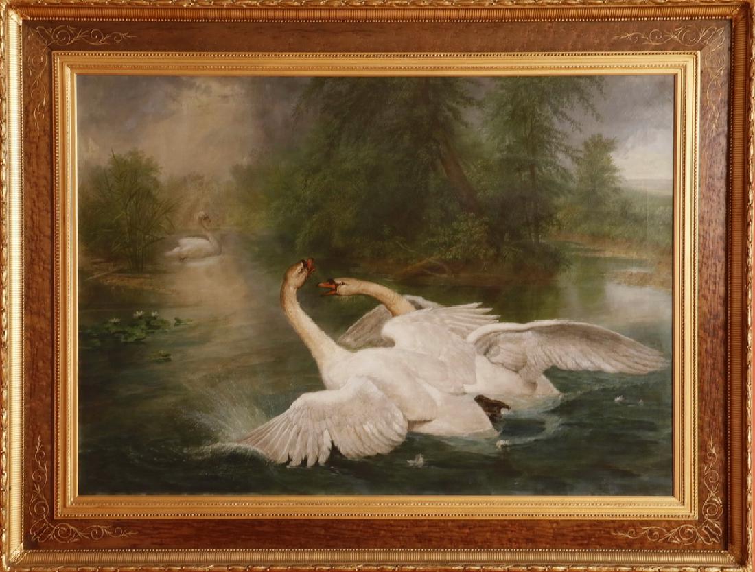 MONUMENTAL SWANS PAINTING: White Trumpeter Swans in a River, 19th c., oil on canvas, unsigned, in original gold leaf molded plaster on wood frame with engraved central birdseye maple panel, SS: 34" x 48", OS: 48" x 60". Fine co