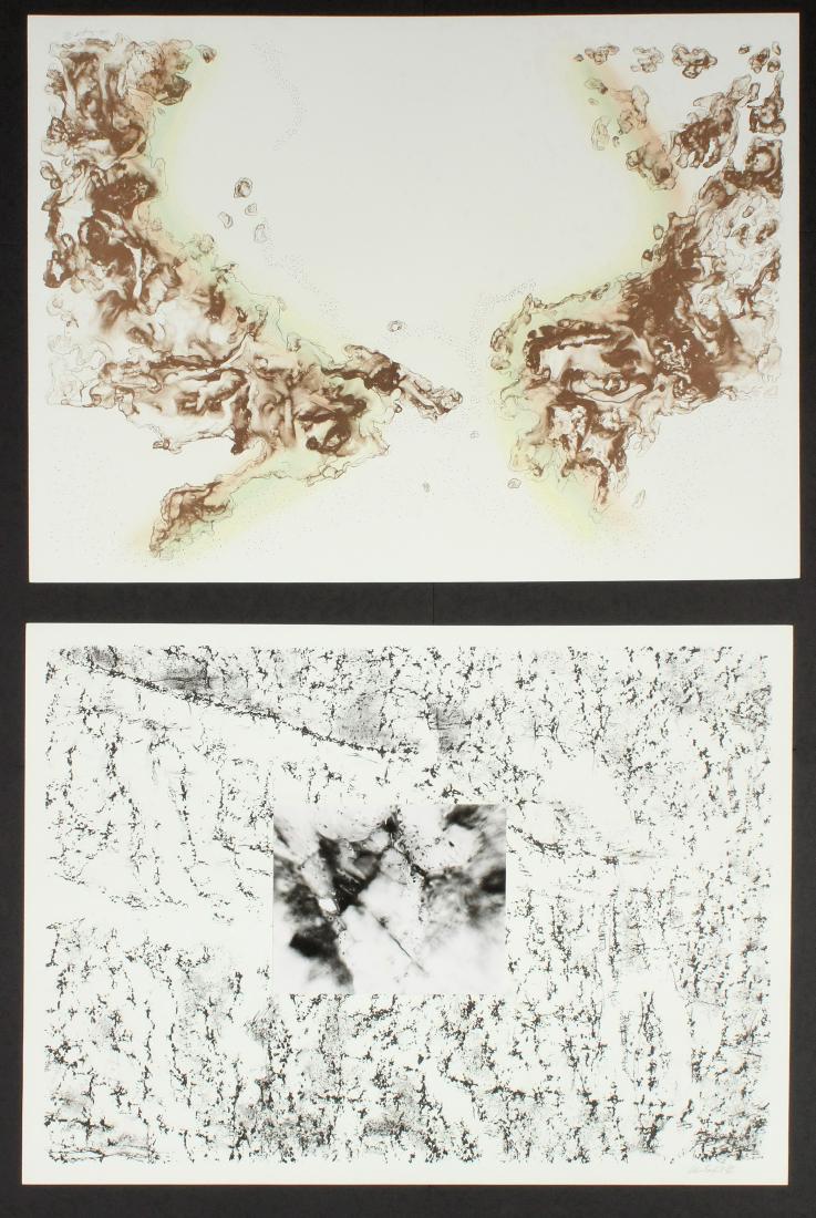 ALAN SONFIST (NY, 1946 - ) (1 of 7)