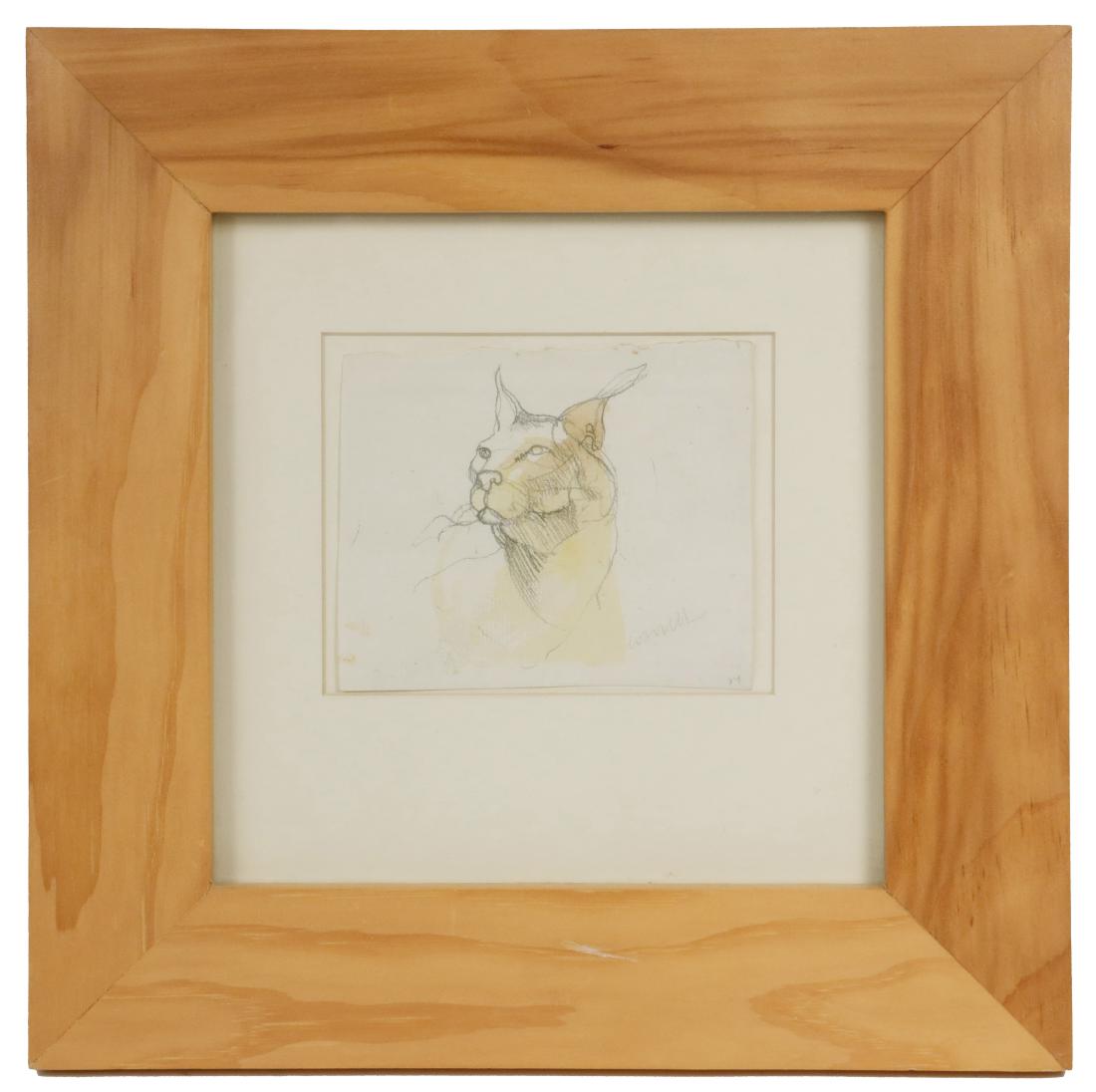 THOMAS CORNELL (ME, 1937-2012): 'Wildcat', pencil with wash on paper, signed lower right, in pine flat frame, floated within mat, under glass, OS: 11 1/2" square, sheet size: 3 3/4" x 4 1/2". Good condition.