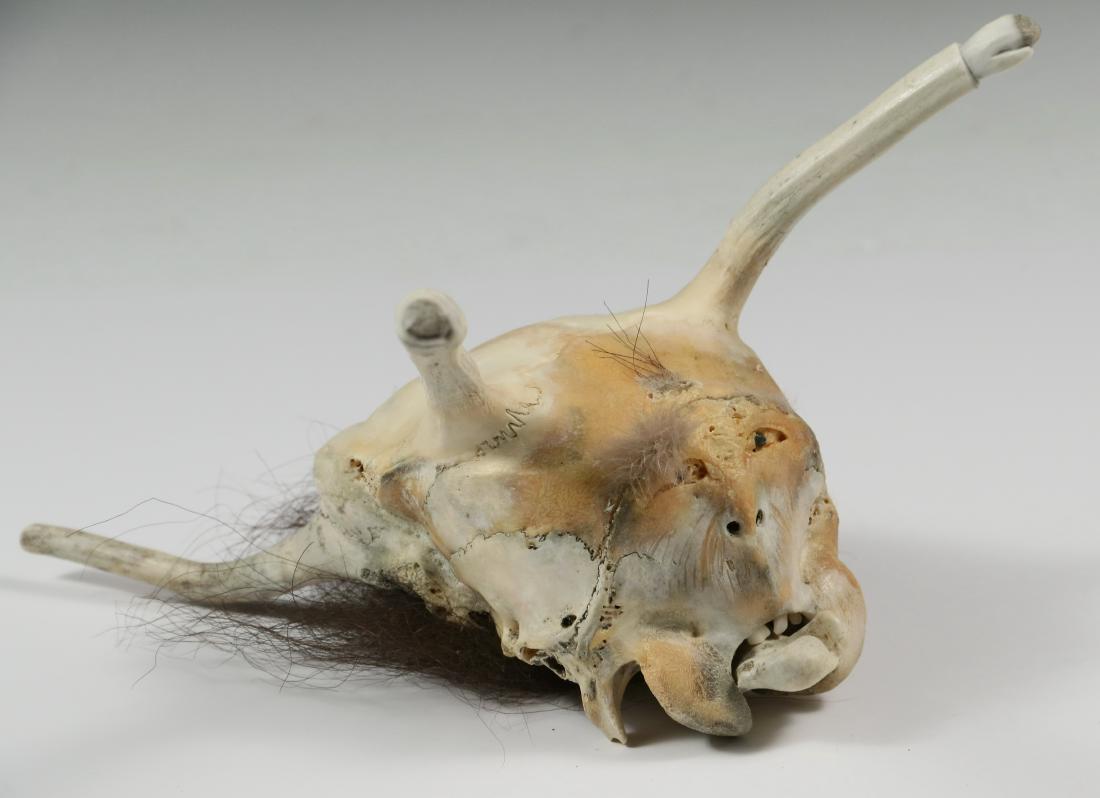 INUIT SHAMAN FETISH: Anthropomorphic Head with mitted 'antlers' carved from a whale vertebra with balleen eyes, moving tongue, applied fur. Roughly 5 1/2" x 9" x 7". Probably mid 20th c. Some fur missing.