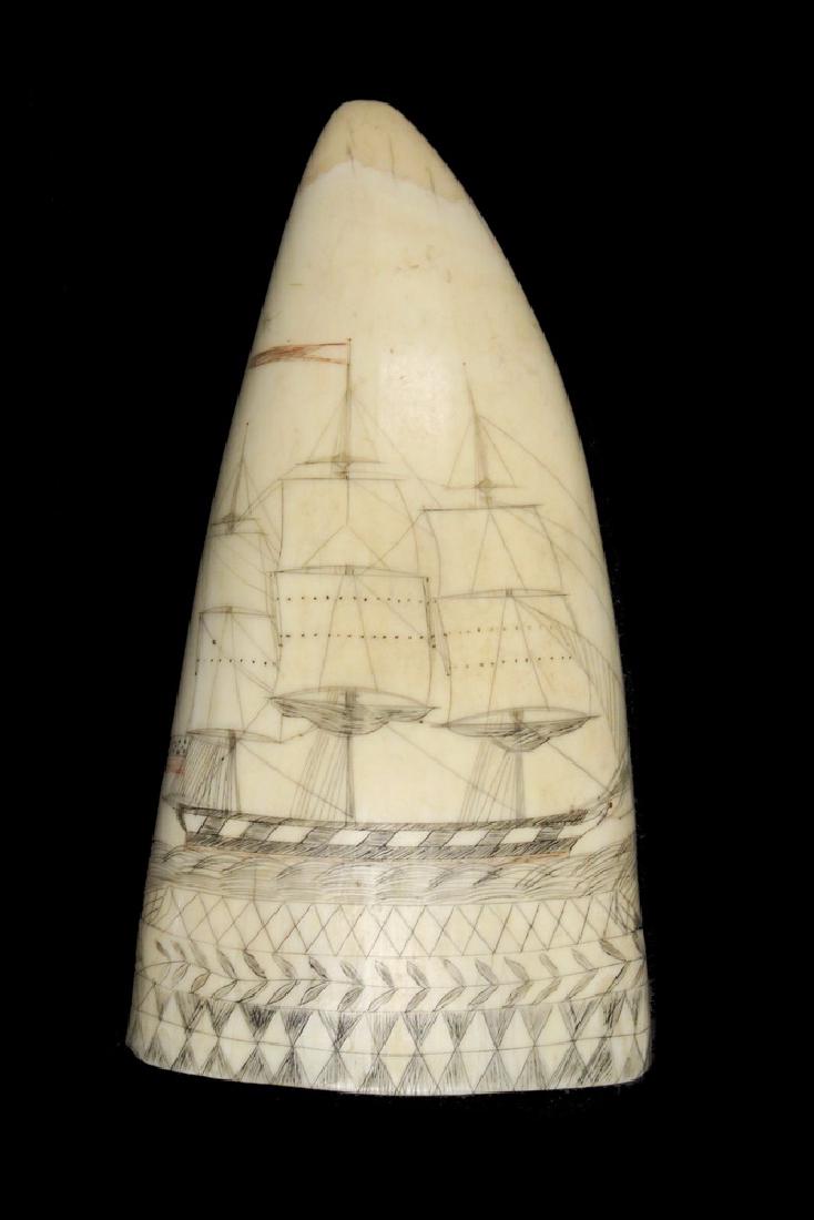 19TH C. SCRIMSHAWN WHALE'S TOOTH: Scrimshaw depicting an American Warship, the reverse with Coastal Fort and American Eagle with shield, both displaying 15 star flags, an early Federal period design, some polychrome, having geometric 