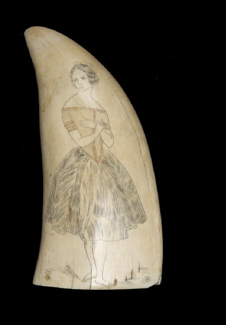 SCRIMSHAWN WHALE'S TOOTH: 19th c. "Jenny Lind" Full Length Portrait with polychrome, 6" tall. Light shrinkage crack to right of figure. Jenny Lind (1820-1887), the "Swedish Nightingale", was a world famous Opera Diva, and a fa