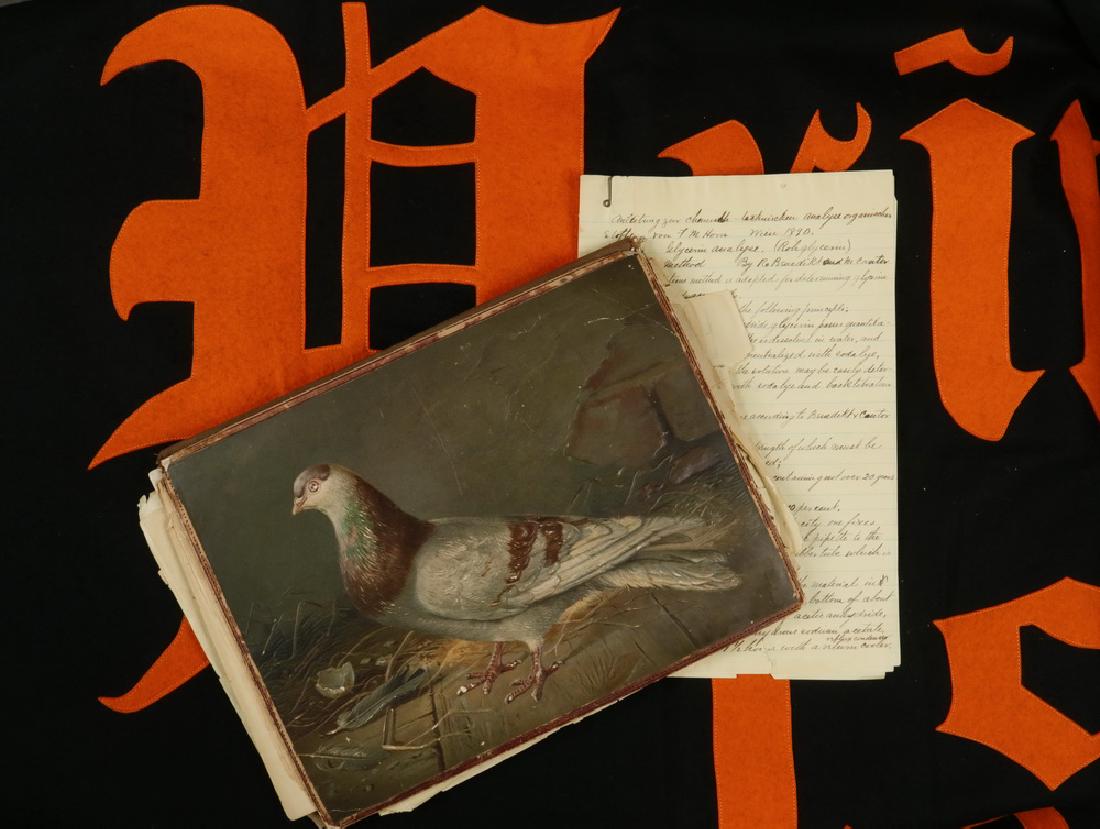 FOLIO OF 1880'S CHEMISTRY NOTES & PRINCETON BANNER (1 of 3)