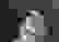 item-61975637=5