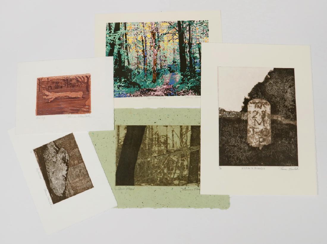 THOMAS J. NORULAK (CONTEMPORARY PITTSBURGH, PA) (1 of 2)