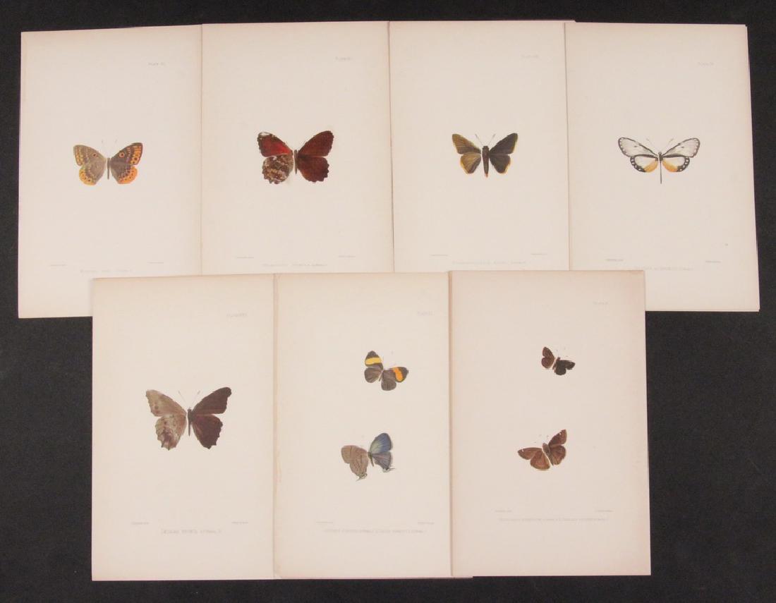 JAMES HENRY BLAKE (MA, 1845 - ?) (1 of 3)