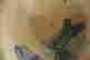 item-65943806=4