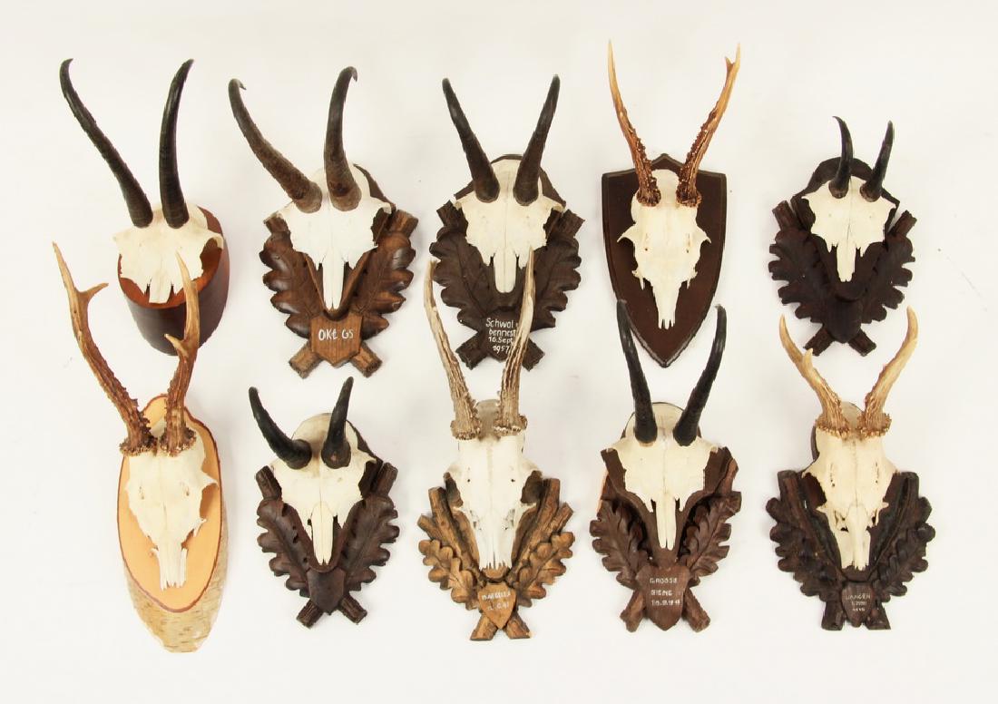 (10) PAIR OF EUROPEAN ANIMAL TROPHY MOUNTS: Deer and Mountain Goat Horn Mounts from Bavaria, with Black Forest carved plaques, or Switzerland, some very shortly after the war, with some dated and inscribed, including: "Wangen, 1 Juni, 1945"; "G