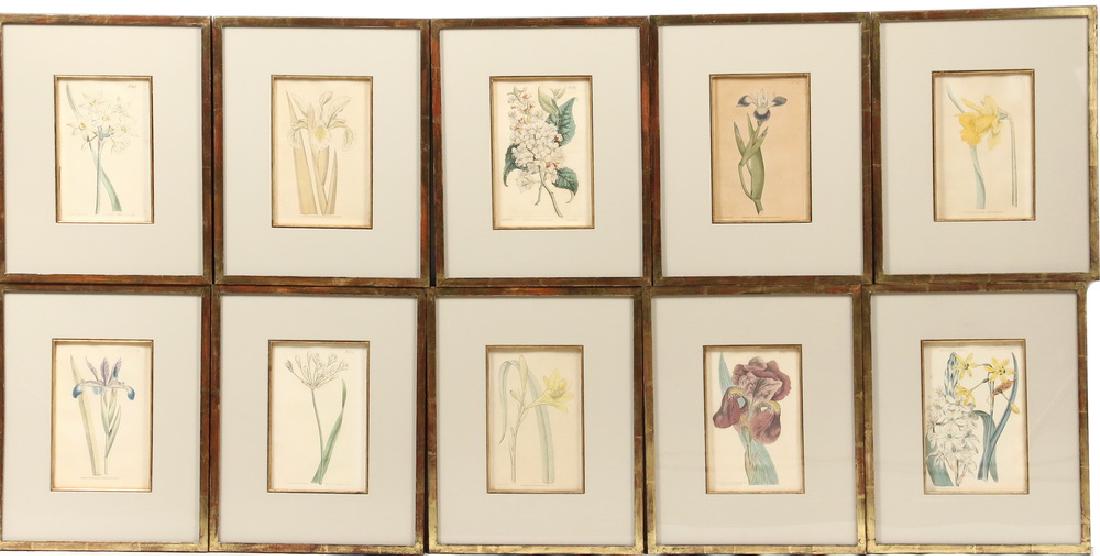 WILLIAM CURTIS (UK, 1746-1799): (10) Hand Colored Botanical Engravings marked "W. Curtis, Botanic Garden, Lambeth Marsh". In gilt front black box frames, dimensional mats with gilt liners, glazed, OS: 15 1/2" x 12 1/2", SS: 8 1/4" x