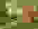 item-71383777=2