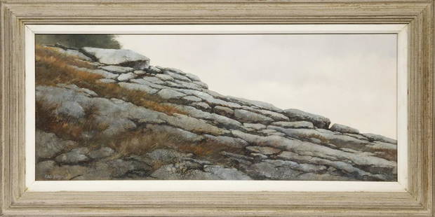 A. HALE JOHNSON (MA/ME, 20TH-21ST C.): Coastal Maine Granite Ledge, oil on hardboard, signed lower left and verso, in a driftwood molded frame with white liner, OS: 14 1/4" x 28 1/4", SS: 10 1/4" x 24 1/4". Good condition.