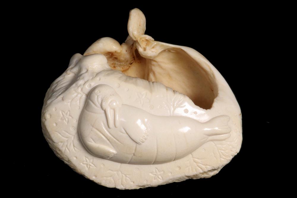INUIT CARVED WHALE EAR BONE, SIGNED ALASKA, JAMES LEE,: Hand carved Sperm Whale cochlear capsule, depicting as walrus reclining on a beach covered with seaweed and starfish. Signed "Alaska - James Lee, 1959". 4" x 3 1/2" x 2 1/4". Fine condition.