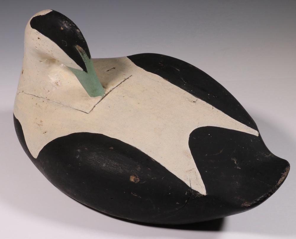 GUS WILSON (ME/CANADA, 1864-1950) WORKING DECOY: Eider Drake Preening Decoy by South Portland, ME carver Augustus Aaron Wilson, a working decoy in black and white paint, with carved eyes, tucked head, defined slightly raised wings, and stubby upturn