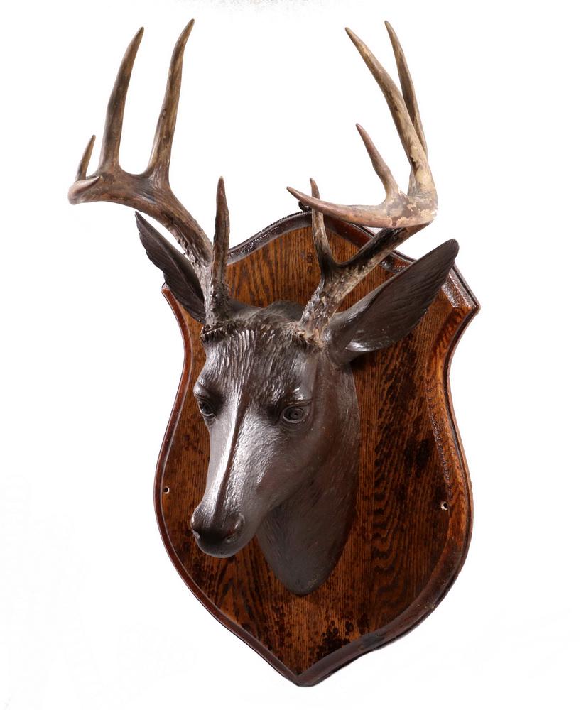 BLACK FOREST DEER HEAD MOUNT: Carved Walnut Deer Head with real antlers, mounted on a molded oak shield wall plaque, roughly 26" x 13" x 12 1/2". Good condition