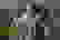 item-76811410=2