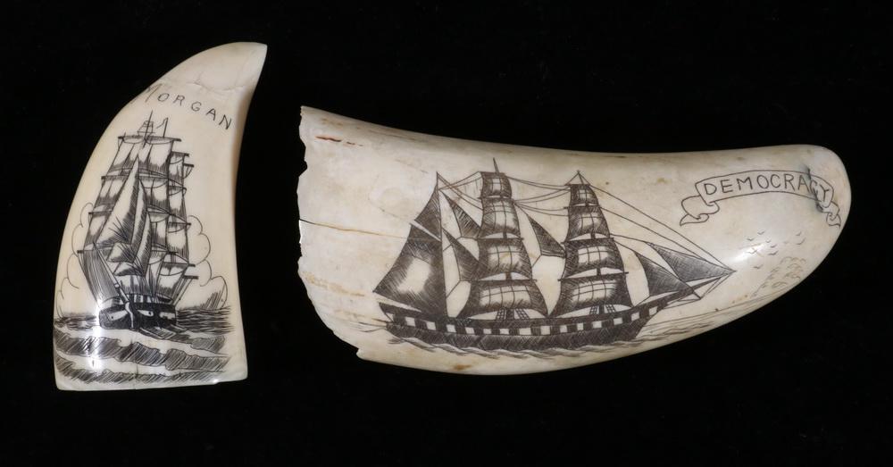 (2) SCRIMSHAW WHALE'S TEETH: (2) Whale's Teeth with Modern Scrimshaw Ship Decoration, one labeled 'Democracy' and the other, 'Morgan', 3 1/4" and 5 1/4" long. Large tooth has end chips.